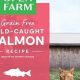 Best Salmon Cat Food: Health & Taste! | World’s Most Delicious Foods: Must-Try Dishes from Every Country