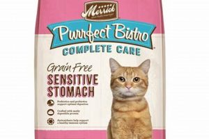 Top-Rated Best Senior Cat Food for Sensitive Stomachs: Guide! World’s Most Delicious Foods: Must-Try Dishes from Every Country Top-Rated Best Senior Cat Food for Sensitive Stomachs: Guide! | World’s Most Delicious Foods: Must-Try Dishes from Every Country