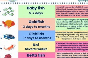 Fishy Fasting: How Long Will Fish Live Without Food (Real Time)? World’s Most Delicious Foods: Must-Try Dishes from Every Country Fishy Fasting: How Long Will Fish Live Without Food (Real Time)? | World’s Most Delicious Foods: Must-Try Dishes from Every Country