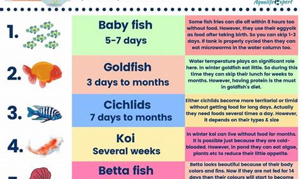 Fishy Fasting: How Long Will Fish Live Without Food (Real Time)? World’s Most Delicious Foods: Must-Try Dishes from Every Country Fishy Fasting: How Long Will Fish Live Without Food (Real Time)? | World’s Most Delicious Foods: Must-Try Dishes from Every Country