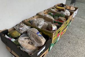 Ending Hunger: Hands of Hope Food Pantry Near You Today! World’s Most Delicious Foods: Must-Try Dishes from Every Country Ending Hunger: Hands of Hope Food Pantry Near You Today! | World’s Most Delicious Foods: Must-Try Dishes from Every Country