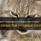 Help! Why Cat Vomits Dry Food? Causes & Solutions | World’s Most Delicious Foods: Must-Try Dishes from Every Country