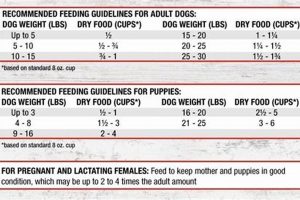 Is Chewy Dog Food Bad? Quality Decreased [Facts] | World’s Most Delicious Foods: Must-Try Dishes from Every Country