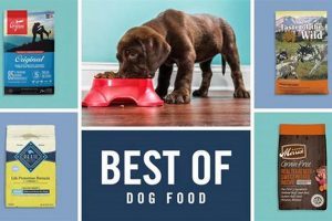 Best Ella's Best Dog Food: Reviews & Benefits World’s Most Delicious Foods: Must-Try Dishes from Every Country Best Ella's Best Dog Food: Reviews & Benefits | World’s Most Delicious Foods: Must-Try Dishes from Every Country