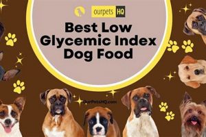 Best Low Glycemic Dog Food: Diet Tips & Health World’s Most Delicious Foods: Must-Try Dishes from Every Country Best Low Glycemic Dog Food: Diet Tips & Health | World’s Most Delicious Foods: Must-Try Dishes from Every Country