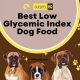 Best Low Glycemic Dog Food: Diet Tips & Health | World’s Most Delicious Foods: Must-Try Dishes from Every Country