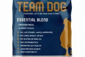 Best Team Dog Food Reviews: Expert & User Picks | World’s Most Delicious Foods: Must-Try Dishes from Every Country
