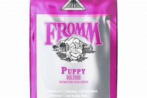 Fromm Dog Food Auto Delivery: Easy Pet Care World’s Most Delicious Foods: Must-Try Dishes from Every Country Fromm Dog Food Auto Delivery: Easy Pet Care | World’s Most Delicious Foods: Must-Try Dishes from Every Country