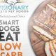 The Best: Low Carb Dog Food for Healthier Pets! | World’s Most Delicious Foods: Must-Try Dishes from Every Country