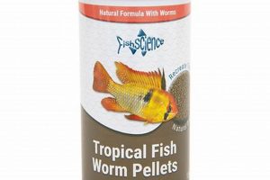 Best Worm Food for Fish: Nutrition & Growth Guide World’s Most Delicious Foods: Must-Try Dishes from Every Country Best Worm Food for Fish: Nutrition & Growth Guide | World’s Most Delicious Foods: Must-Try Dishes from Every Country