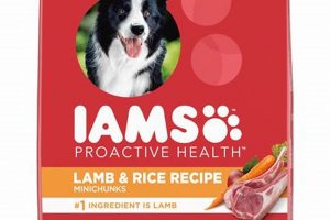 Best Lamb Based Dog Food: Your Dog Will Love It! | World’s Most Delicious Foods: Must-Try Dishes from Every Country