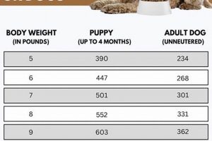 Dog Food Kcals: What is a Kcal & Why It Matters World’s Most Delicious Foods: Must-Try Dishes from Every Country Dog Food Kcals: What is a Kcal & Why It Matters | World’s Most Delicious Foods: Must-Try Dishes from Every Country