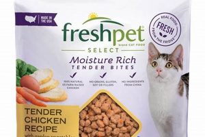 Top Fresh Cat Food Brands of [Year]: Your Guide | World’s Most Delicious Foods: Must-Try Dishes from Every Country