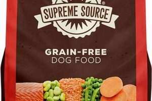 Is Salmon Meal Good? Dog Food Benefits & Risks | World’s Most Delicious Foods: Must-Try Dishes from Every Country