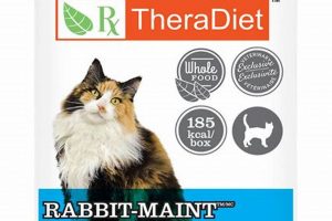 Best Rabbit Dry Cat Food: Health &amp; Taste! | World’s Most Delicious Foods: Must-Try Dishes from Every Country