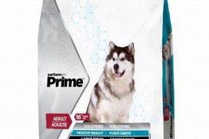 Best Prime Dog Food: Nourish Your Pup! | World’s Most Delicious Foods: Must-Try Dishes from Every Country