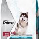 Best Prime Dog Food: Nourish Your Pup! | World’s Most Delicious Foods: Must-Try Dishes from Every Country