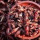 Exploring Bizarre Mexican Food: A Culinary Mexico Adventure | World’s Most Delicious Foods: Must-Try Dishes from Every Country