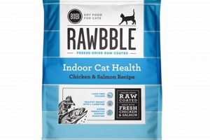 Best Rawbble Cat Food: Reviews & Is It Right For Your Cat? | World’s Most Delicious Foods: Must-Try Dishes from Every Country