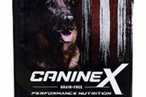 Best Caninex Dog Food: Nutrition Guide & Tips World’s Most Delicious Foods: Must-Try Dishes from Every Country Best Caninex Dog Food: Nutrition Guide & Tips | World’s Most Delicious Foods: Must-Try Dishes from Every Country