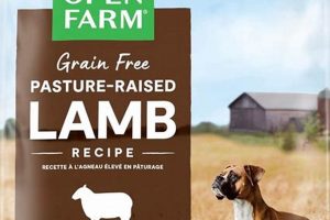 Is Lamb Dog Food Best? + Guide & Benefits | World’s Most Delicious Foods: Must-Try Dishes from Every Country
