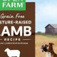 Is Lamb Dog Food Best? + Guide & Benefits | World’s Most Delicious Foods: Must-Try Dishes from Every Country