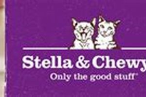 Stella &amp; Chewy's Cat Food: Raw Diet Benefits You Need! | World’s Most Delicious Foods: Must-Try Dishes from Every Country