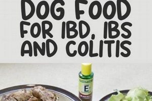 Best Dog Food for IBD: Soothe Your Dog's Gut + World’s Most Delicious Foods: Must-Try Dishes from Every Country Best Dog Food for IBD: Soothe Your Dog's Gut + | World’s Most Delicious Foods: Must-Try Dishes from Every Country