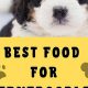 Top Choices: Best Food for Bernedoodles Guide & Reviews | World’s Most Delicious Foods: Must-Try Dishes from Every Country