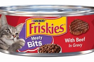 Best Wet Cat Food Beef Recipes: Delicious & Healthy World’s Most Delicious Foods: Must-Try Dishes from Every Country Best Wet Cat Food Beef Recipes: Delicious & Healthy | World’s Most Delicious Foods: Must-Try Dishes from Every Country