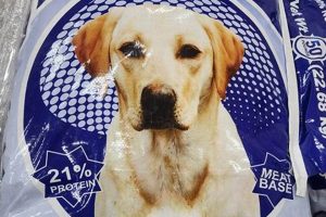 Best Ol Blue Dog Food: Top Picks + Buying Guide | World’s Most Delicious Foods: Must-Try Dishes from Every Country