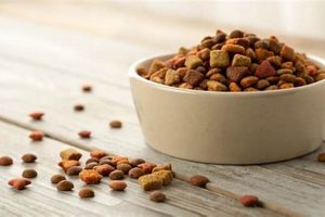 Dog Food Facts: How Long Will Dry Dog Food Last? Tips & Tricks World’s Most Delicious Foods: Must-Try Dishes from Every Country Dog Food Facts: How Long Will Dry Dog Food Last? Tips & Tricks | World’s Most Delicious Foods: Must-Try Dishes from Every Country