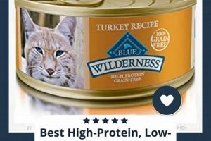 Best Low Carb Cat Food: Diet Guide & Reviews | World’s Most Delicious Foods: Must-Try Dishes from Every Country