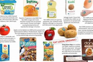 Your Guide: Glyphosate-Free Food List for a Healthier Life | World’s Most Delicious Foods: Must-Try Dishes from Every Country