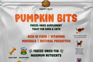 Best Dog Food with Pumpkin: Healthier Gut! | World’s Most Delicious Foods: Must-Try Dishes from Every Country