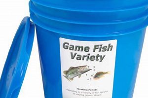 Best Game Fish Food: Nourishing Sport Fish + Recipes | World’s Most Delicious Foods: Must-Try Dishes from Every Country