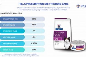 Best Hyperthyroidism Cat Food Options for a Healthy Cat! | World’s Most Delicious Foods: Must-Try Dishes from Every Country