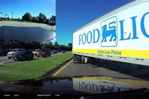 Drive for Food Lion: Truck Driver Jobs & More! World’s Most Delicious Foods: Must-Try Dishes from Every Country Drive for Food Lion: Truck Driver Jobs & More! | World’s Most Delicious Foods: Must-Try Dishes from Every Country