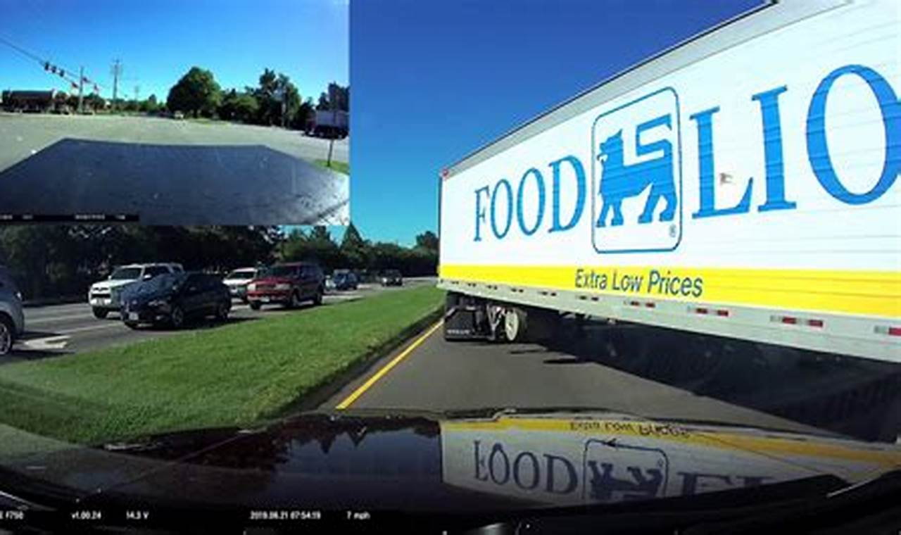 Drive for Food Lion: Truck Driver Jobs &amp; More! | World’s Most Delicious Foods: Must-Try Dishes from Every Country