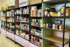 Springfield IL Food Pantries: Find Help + How to Donate | World’s Most Delicious Foods: Must-Try Dishes from Every Country