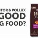 Best Dog Food: Castor &amp; Pollux [Review + Guide] | World’s Most Delicious Foods: Must-Try Dishes from Every Country