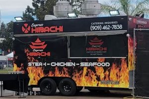 Your Guide to Hibachi Hut Food Truck Success Tips | World’s Most Delicious Foods: Must-Try Dishes from Every Country