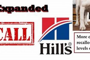 Dog Food Recall: What to Know About Hills ➡ | World’s Most Delicious Foods: Must-Try Dishes from Every Country