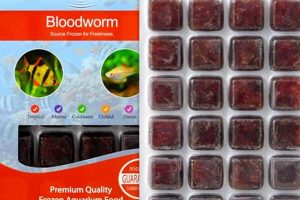 Best Bloodworm Fish Food: Nutrients & Care Tips | World’s Most Delicious Foods: Must-Try Dishes from Every Country