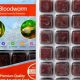 Best Bloodworm Fish Food: Nutrients & Care Tips | World’s Most Delicious Foods: Must-Try Dishes from Every Country