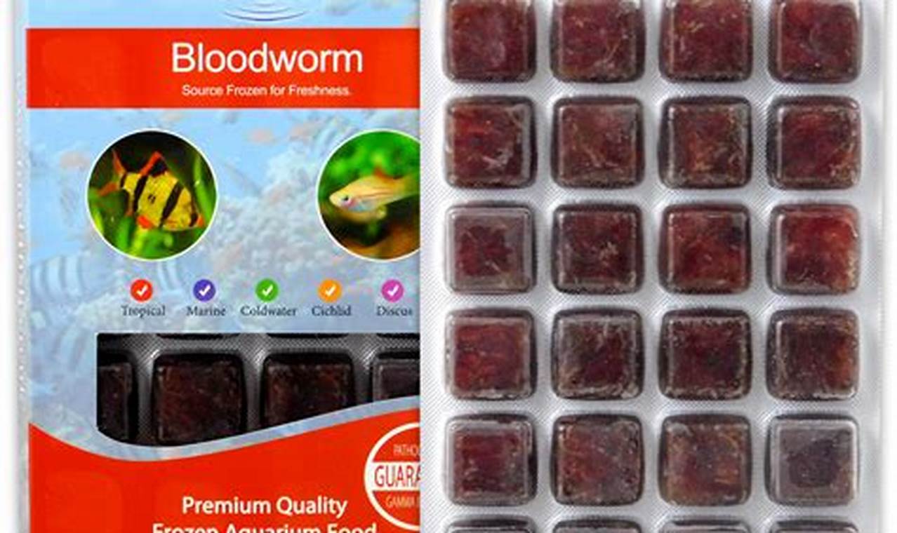 Best Bloodworm Fish Food: Nutrients & Care Tips | World’s Most Delicious Foods: Must-Try Dishes from Every Country