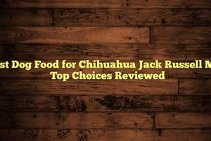 The Best Dog Food for Chihuahua Jack Russell Mix Pets! World’s Most Delicious Foods: Must-Try Dishes from Every Country The Best Dog Food for Chihuahua Jack Russell Mix Pets! | World’s Most Delicious Foods: Must-Try Dishes from Every Country