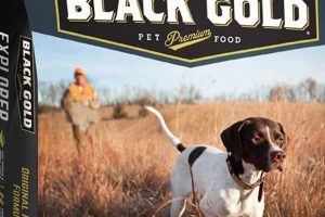 Black Gold Dog Food: Real Reviews & Expert Analysis | World’s Most Delicious Foods: Must-Try Dishes from Every Country