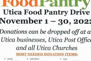 Get Utica Food Stamps: Eligibility &amp; Application Guide | World’s Most Delicious Foods: Must-Try Dishes from Every Country