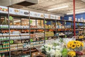 Support Families: Transition Food Pantry Near You | World’s Most Delicious Foods: Must-Try Dishes from Every Country